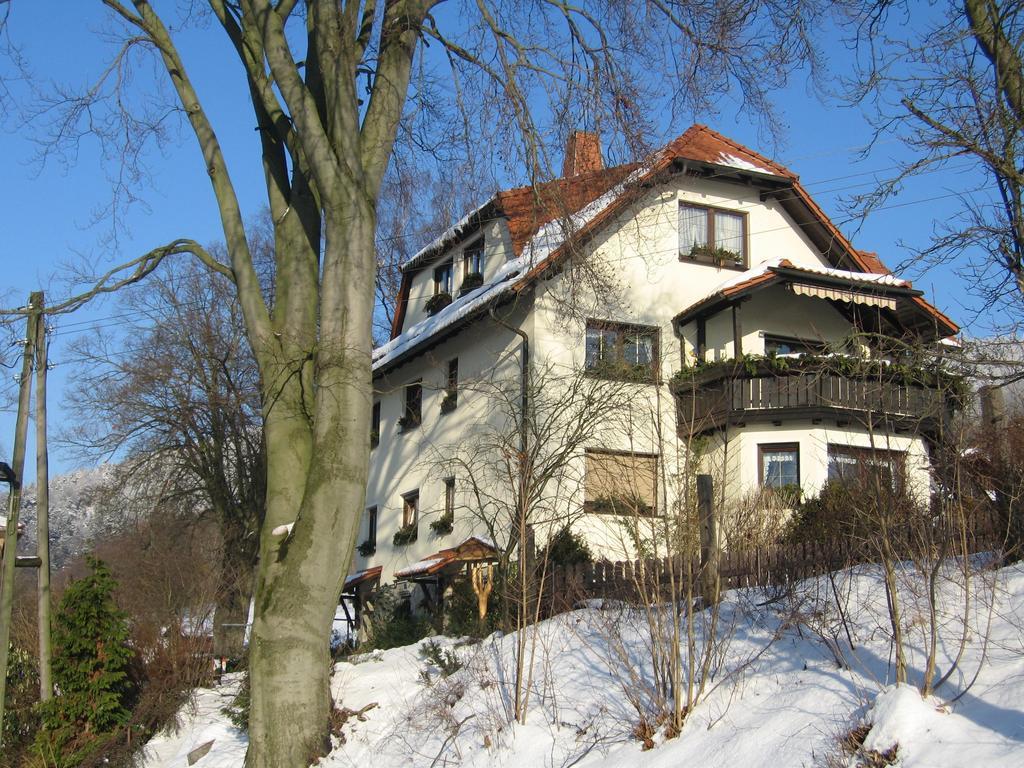 Ferienwohnung Panorama Rauenstein Εξωτερικό φωτογραφία